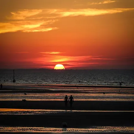 Le Petit アパート